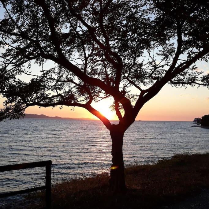 Apartman Milo - Zadar Buitenkant foto
