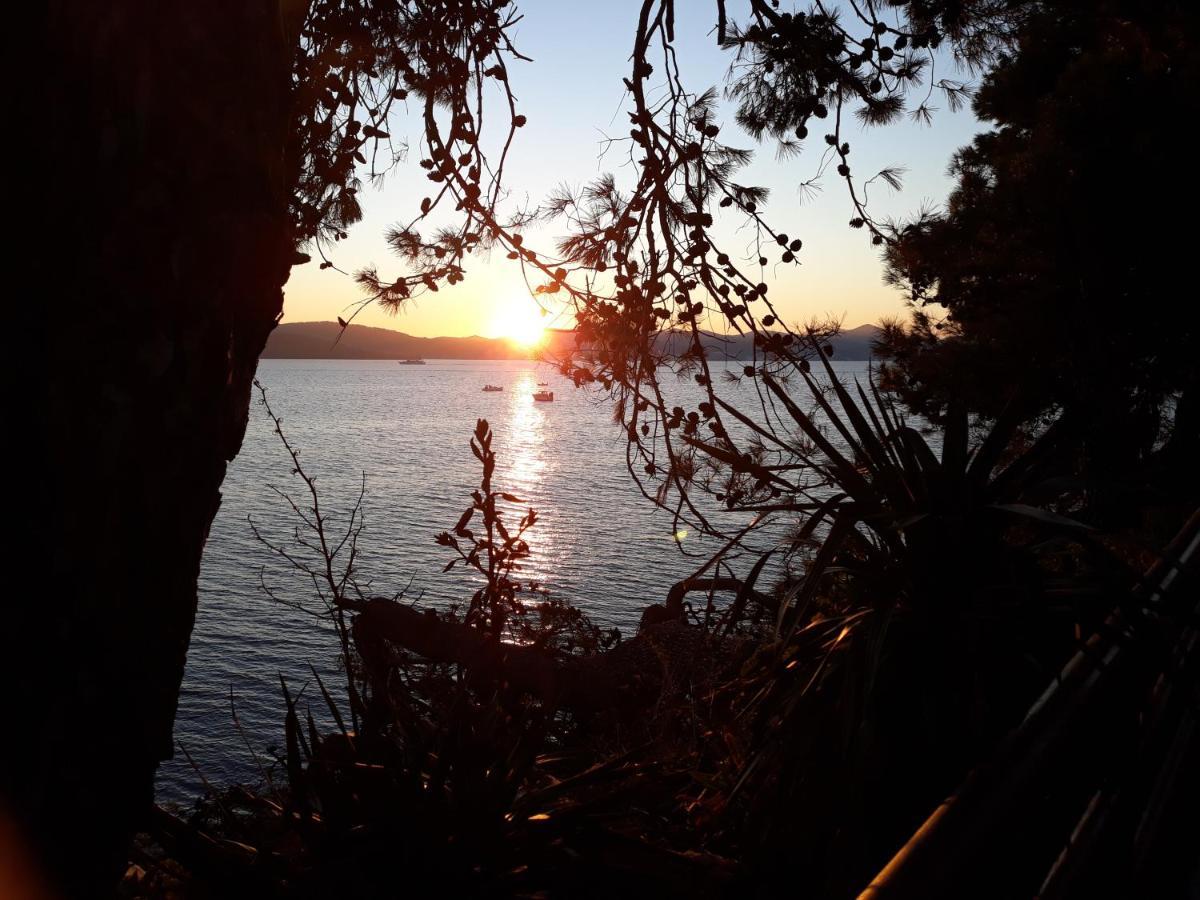 Apartman Milo - Zadar Buitenkant foto