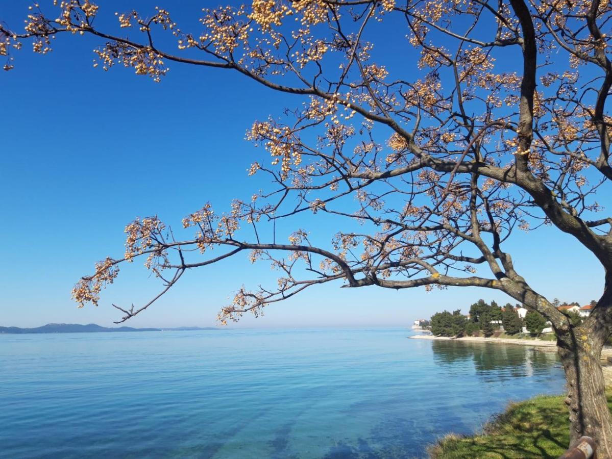 Apartman Milo - Zadar Buitenkant foto